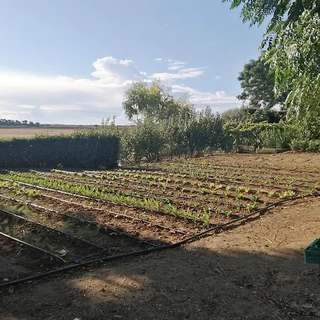 Agriturismo La Sosta-3